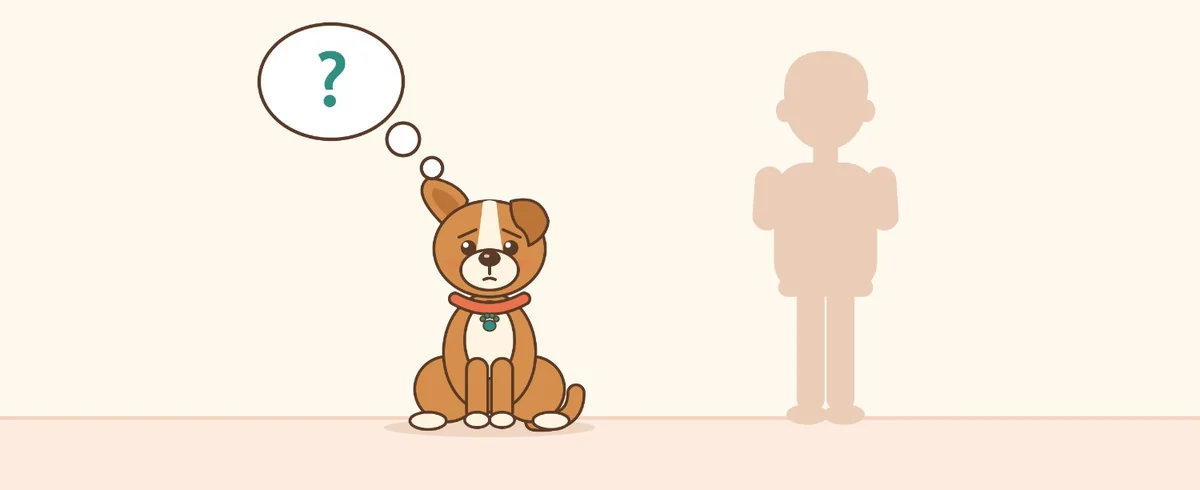 El perro con las orejas hacia atrás frente a su humano, con un signo de interrogación en un globo de pensamiento
